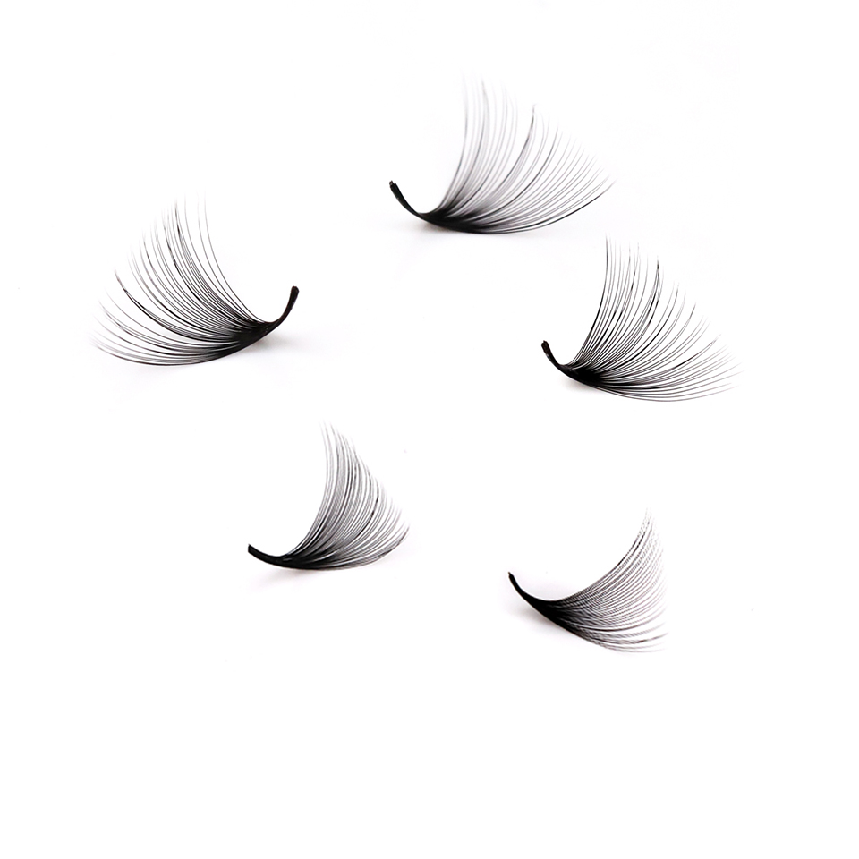 Lashprofessor XL Tray 3D 4D 5D - Eyelash Extension Russian Volume ulasan dan harga
